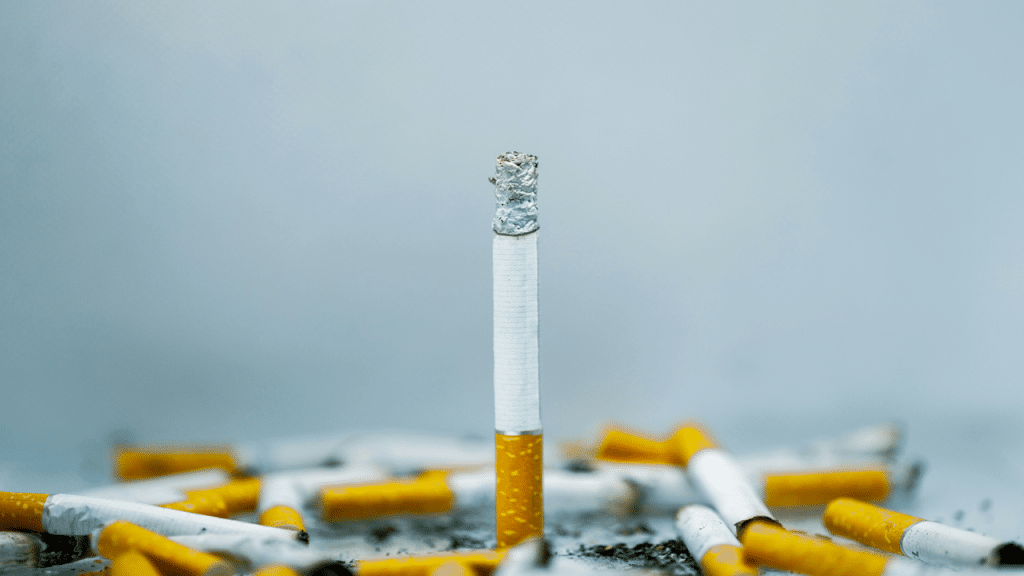 One burnt cigarette standing upright among many used cigarette butts. 