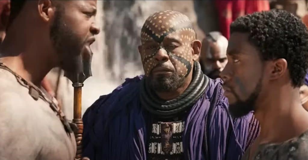 A picture of T’Challa & M’Baku.