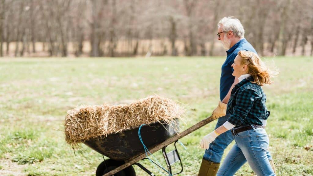 A couple rolling hay together