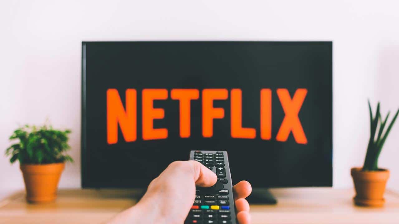 A hand holding a remote pointed at a TV displaying the Netflix logo, flanked by two potted plants.
