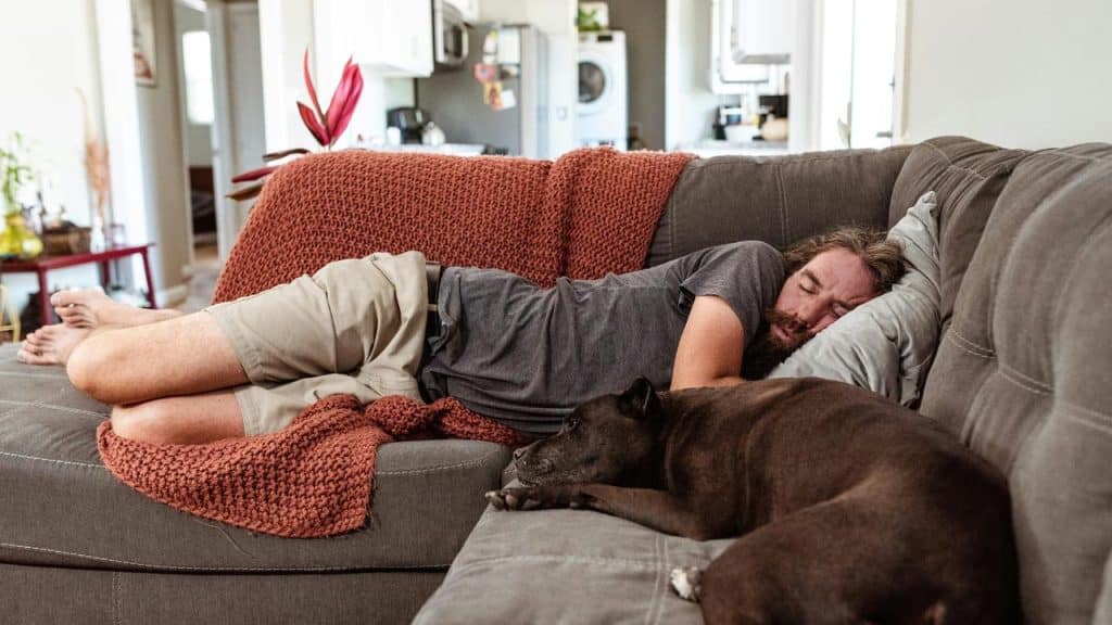 A bearded man and his dog sleeping on a gray couch.