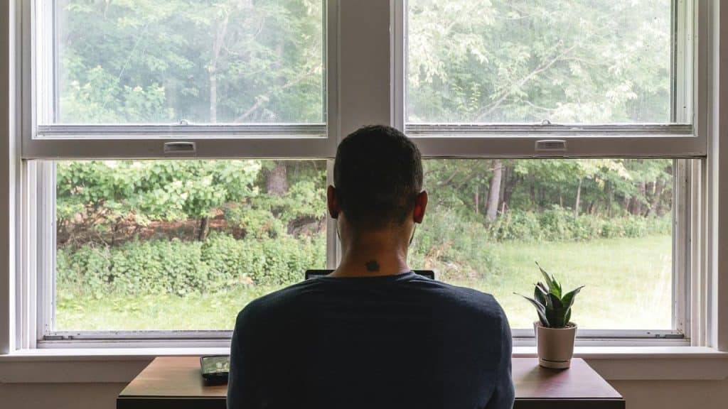 A person sitting at a desk, viewed from behind, looking out a window at a green backyard.