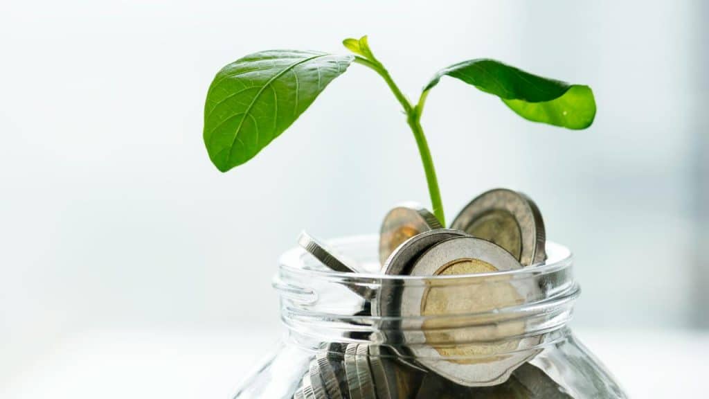 A jar of coins with a green sprout growing from it.