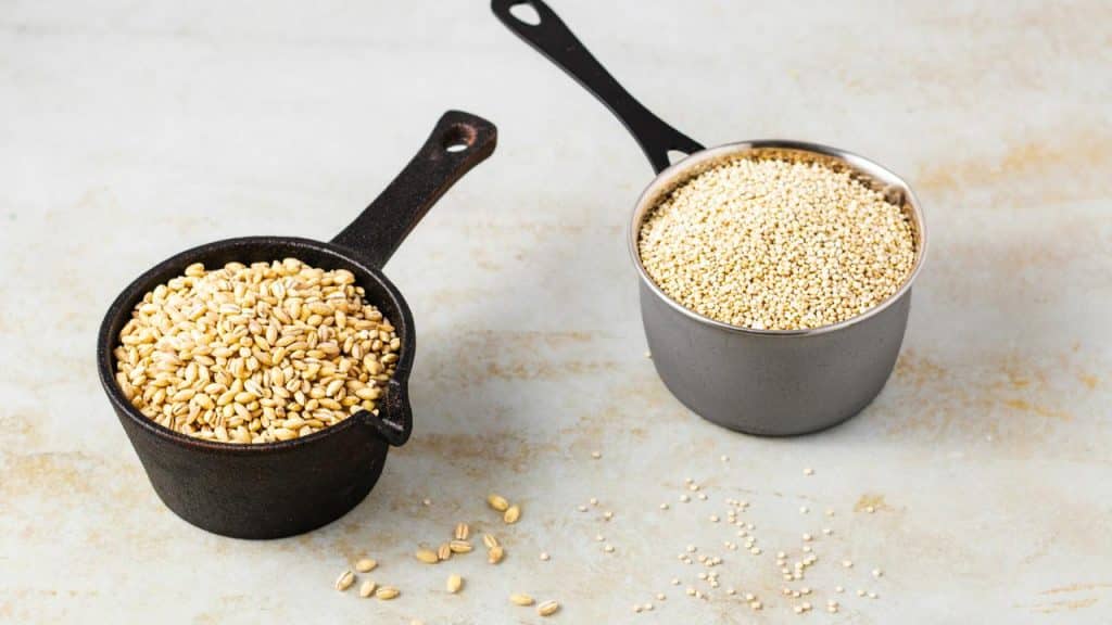 A cast-iron scoop of wheat berries and a metal cup of quinoa on a countertop.
