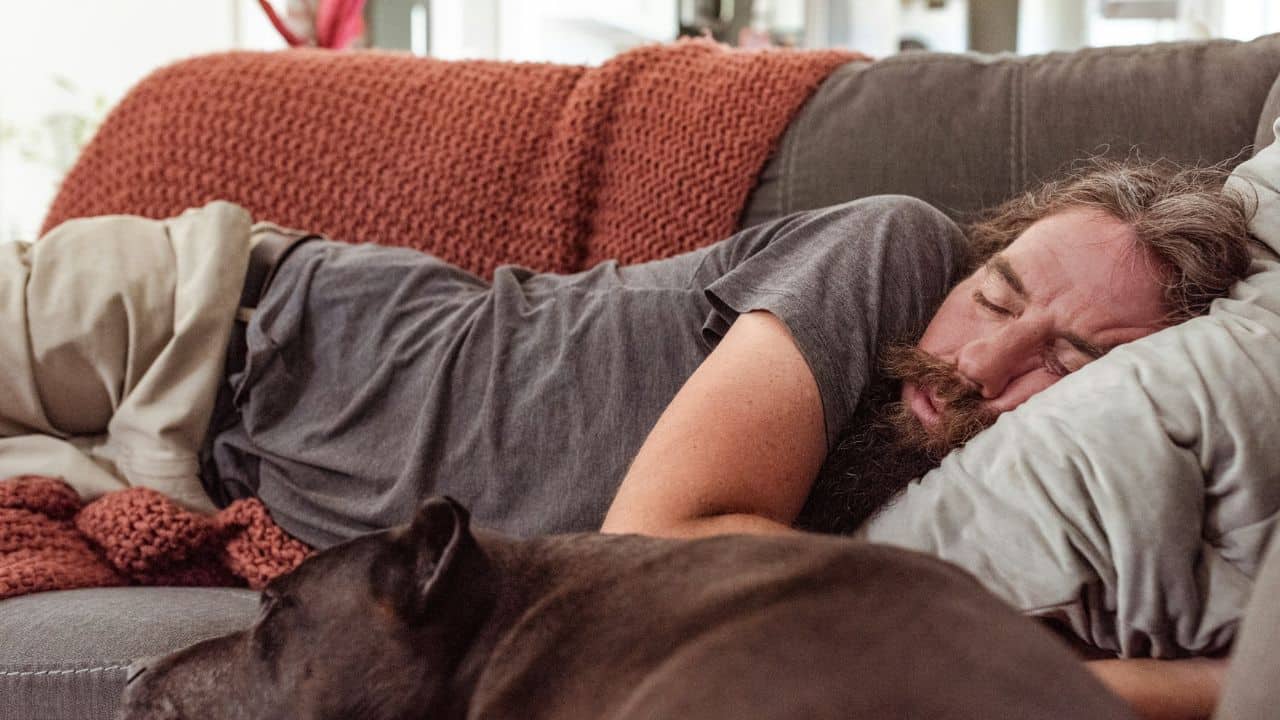 A bearded man sleeps on a couch with a dog lying beside him.