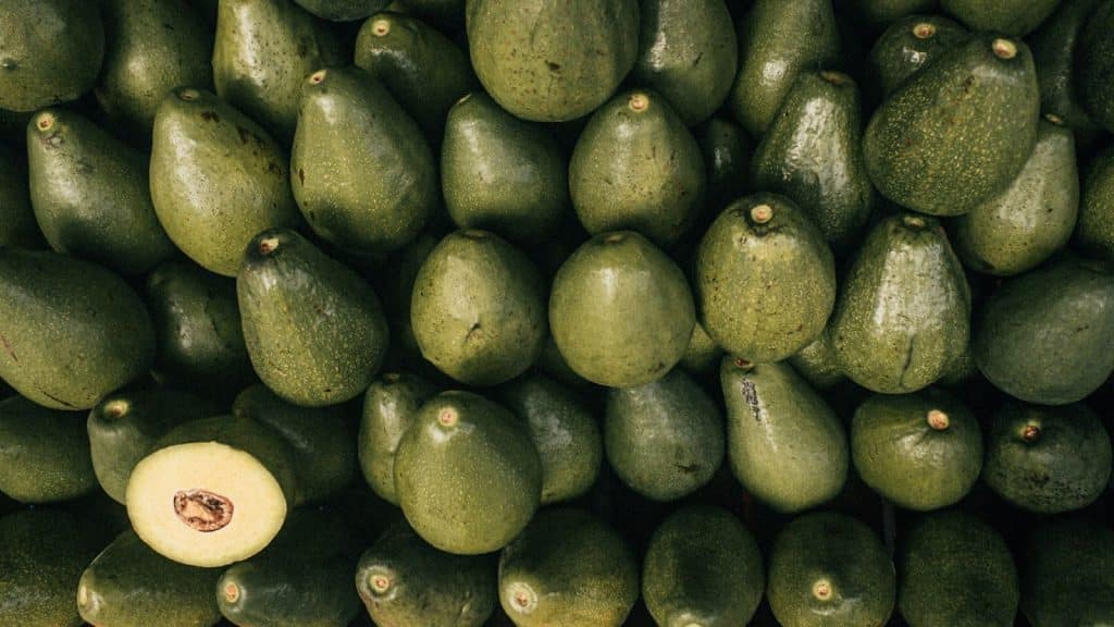 A picture of an avocados