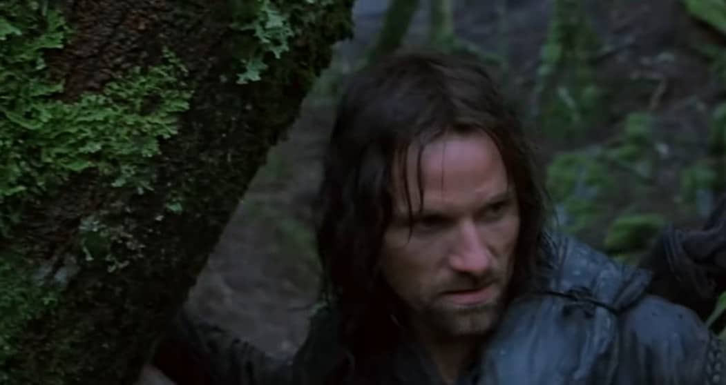 A picture of aragorn.