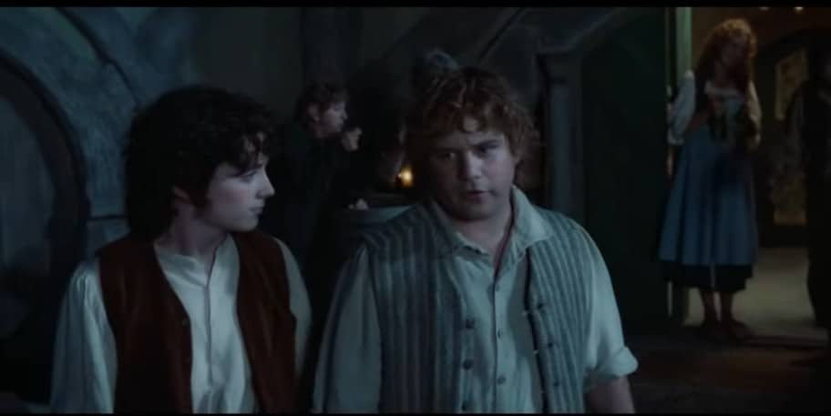 A picture of Samwise Gamgee.
