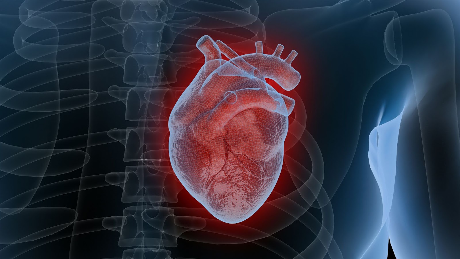 An illustration picture of a heart beating.