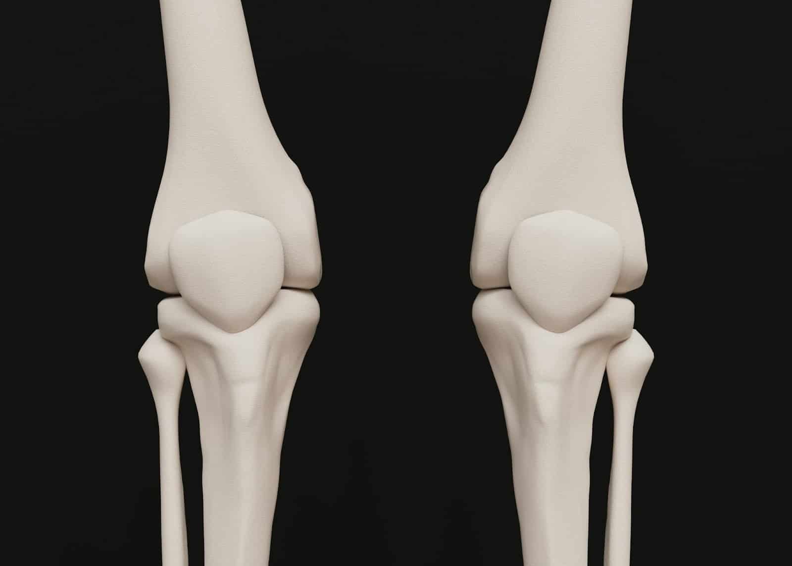 An illustration picture of joint knees.