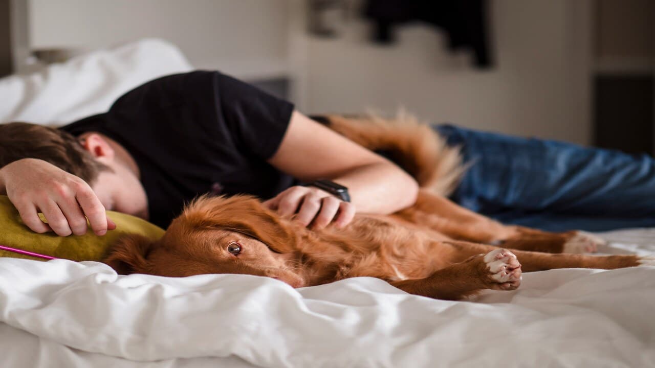 A man sleeping beside his dog.