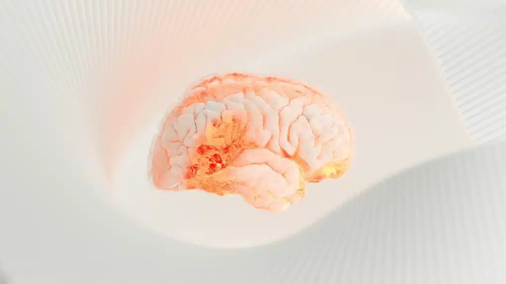 A 3D rendering of a brain