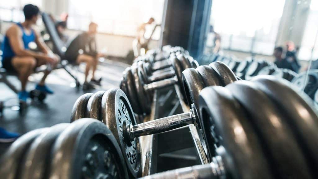 A row of metal dumbbells on a rack in a bright gym with people working out in the background.