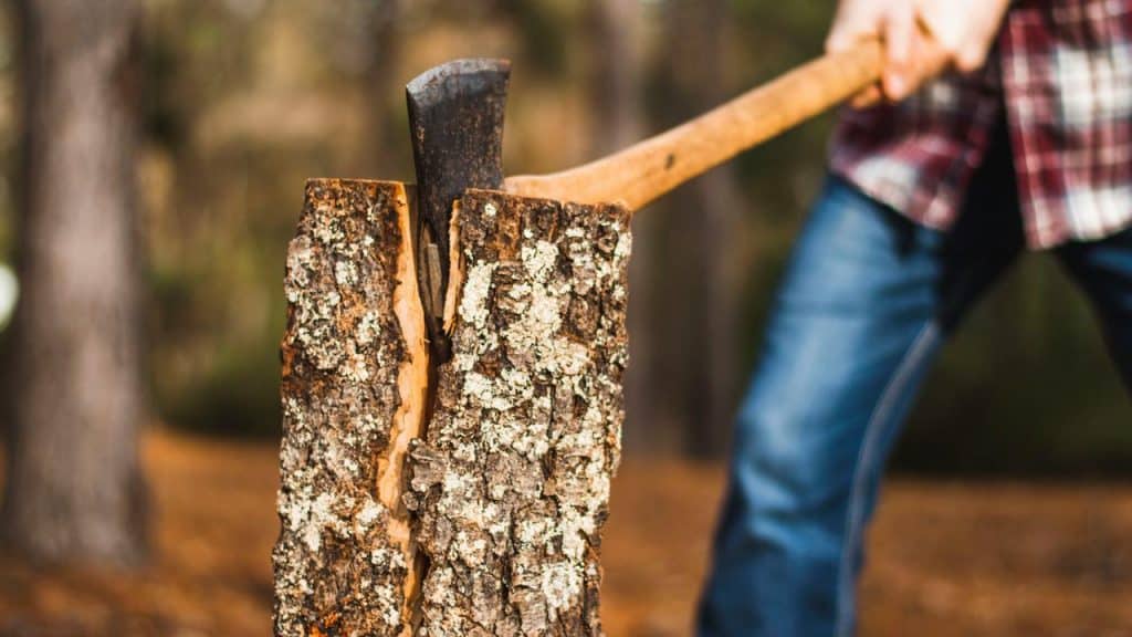 A man with an axe splitting a log.