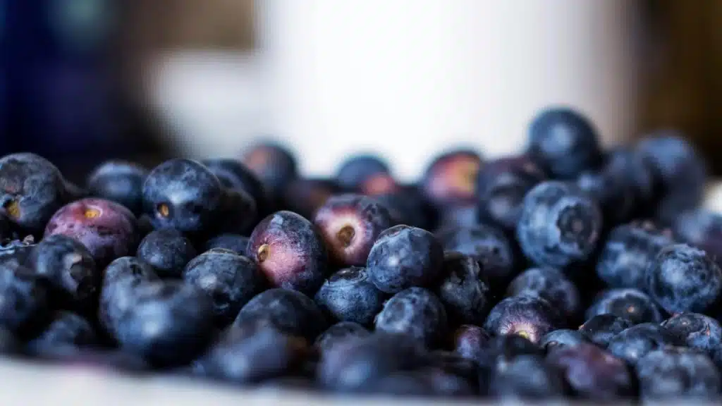 A close-up of ripe blueberries.