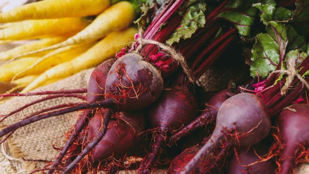 A bunch of beetroots with leafy tops alongside yellow carrots on burlap.