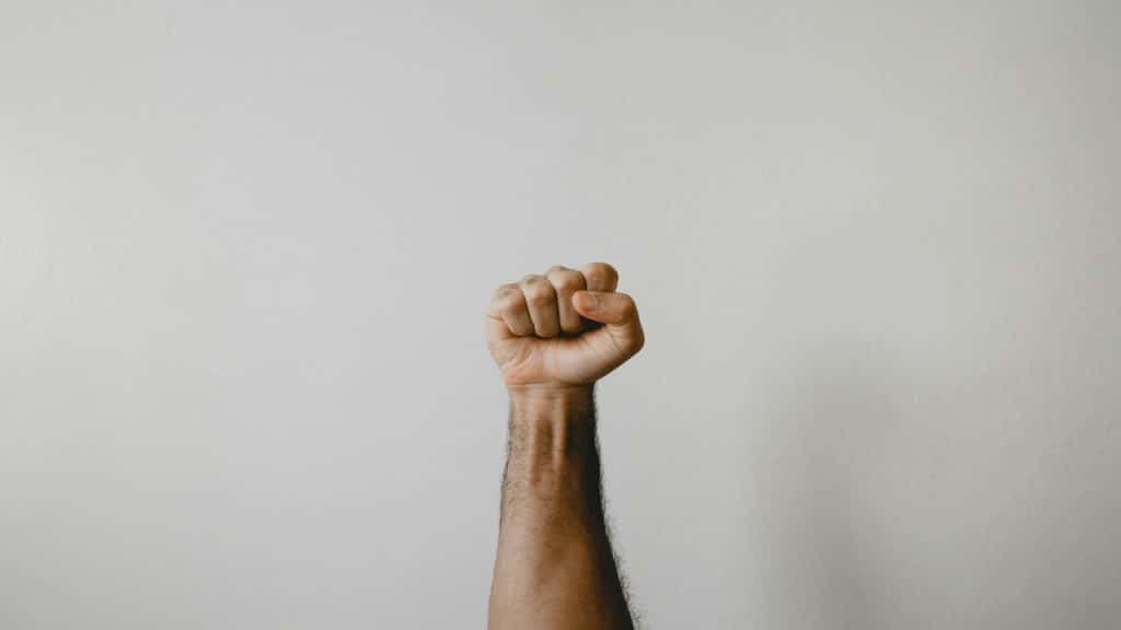 A fist going up to the sky