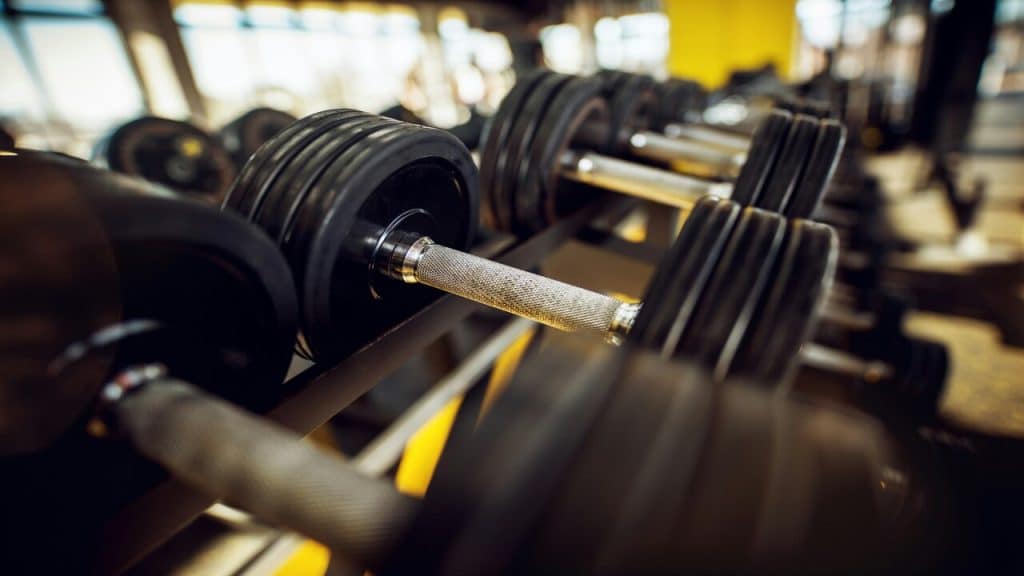 A row of dumbbells in the gym