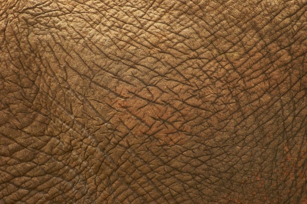 A mocked-up picture of a super dry skin