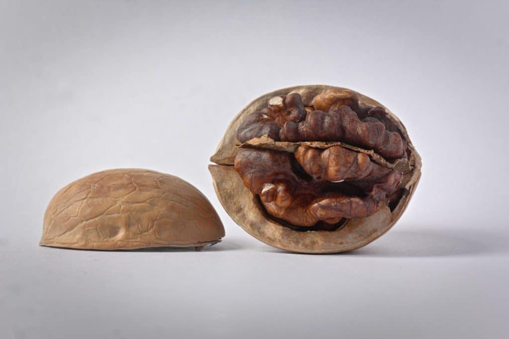 A picture of a walnut.