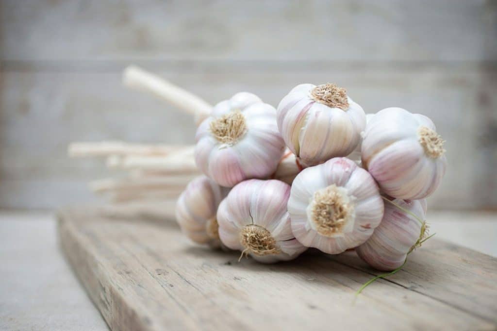 A picture of garlic.