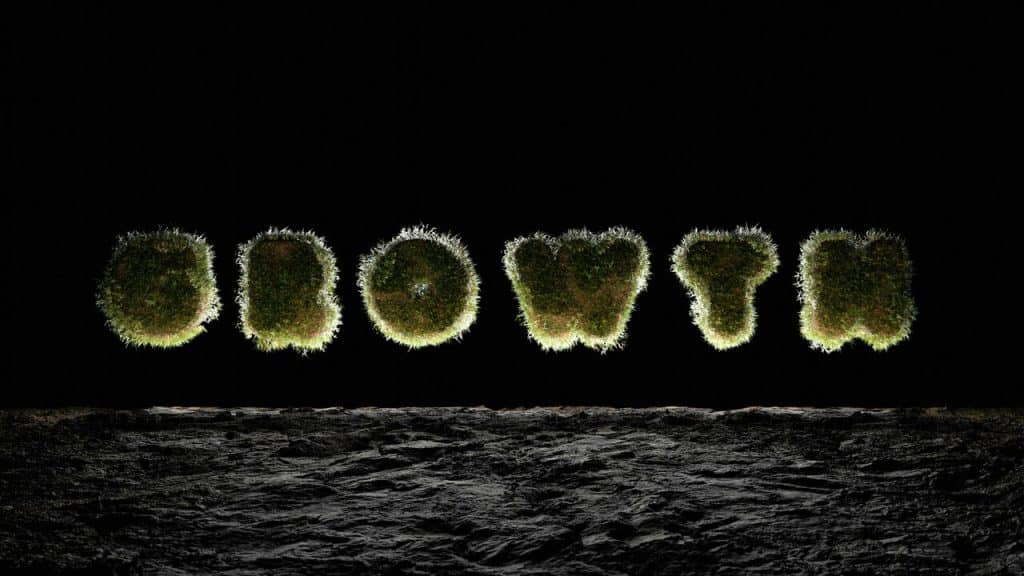 Plants spelling out the word “growth”