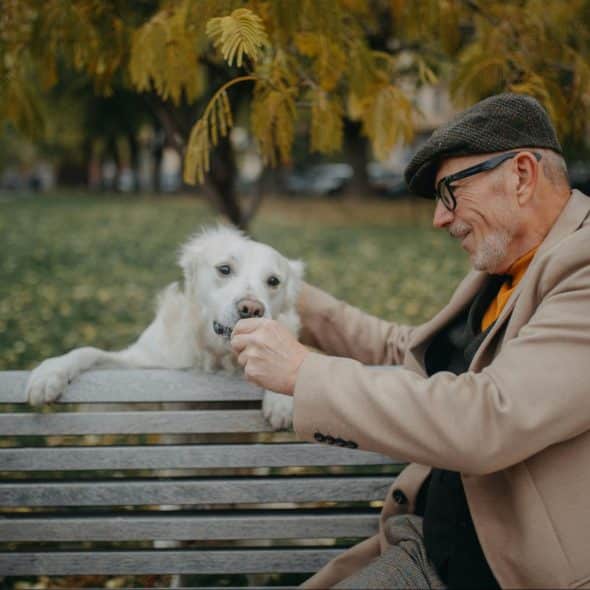 A man feeding a dog.