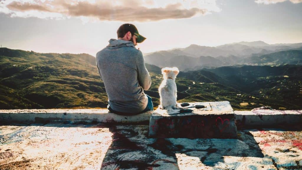 A man and dog sitting on a ledge overlooking mountains.