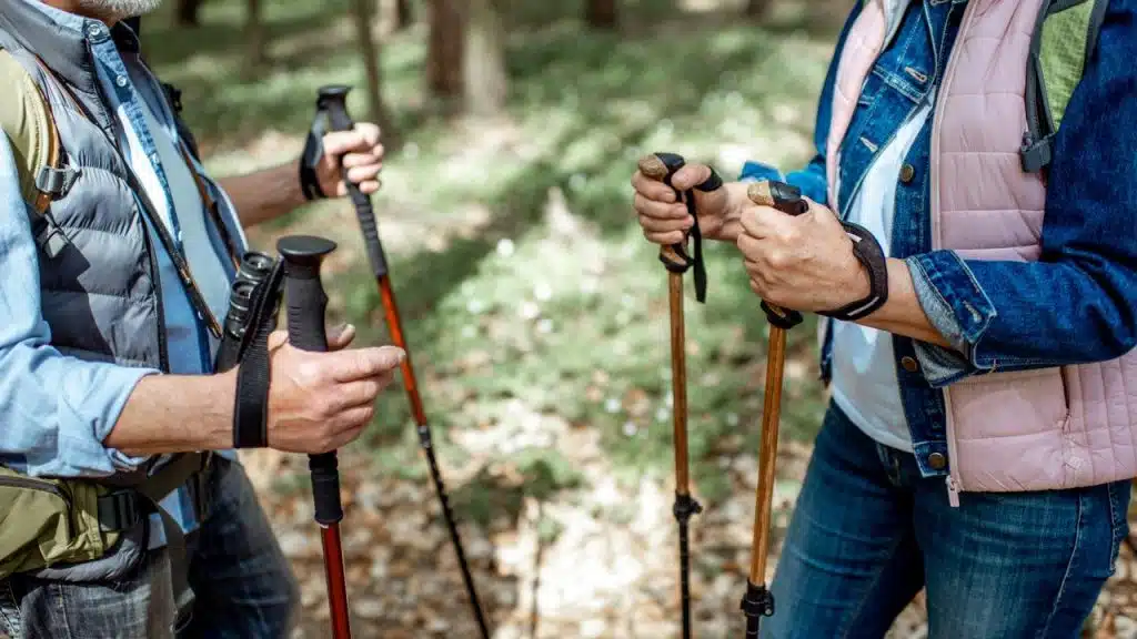 A pair of hikers holding trekking poles in a forest.