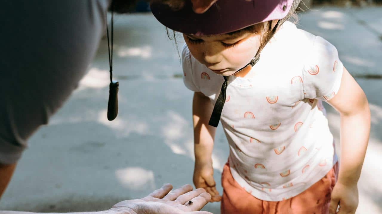 A child wearing a helmet looking at a bug in an adultβs hand.