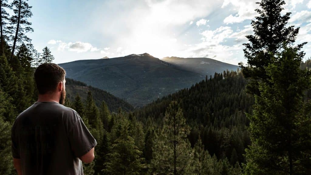 A man overlooking a mountain forest valley at sunset.