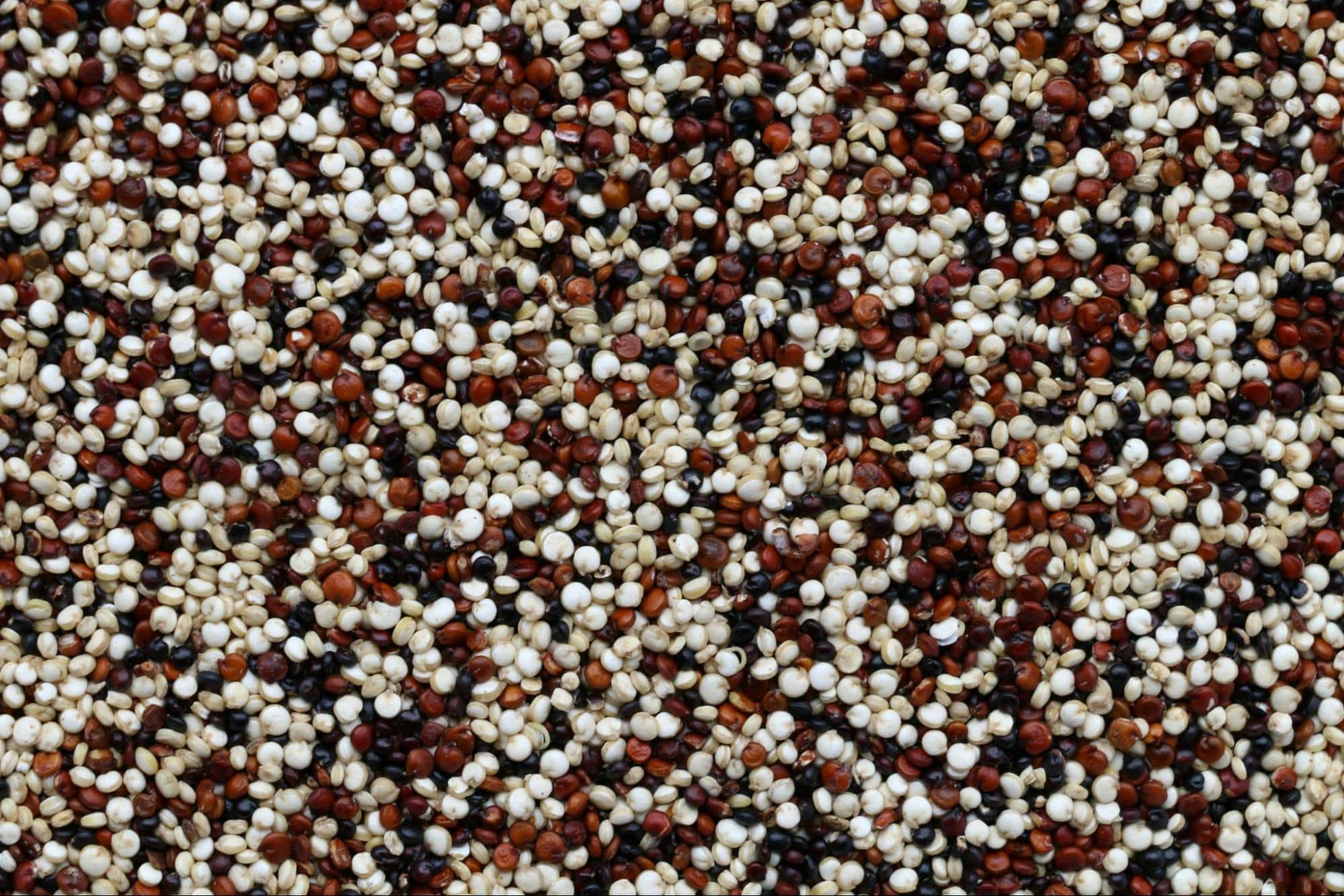 A picture of a quinoa.