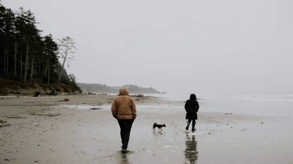 A couple walking with their dog