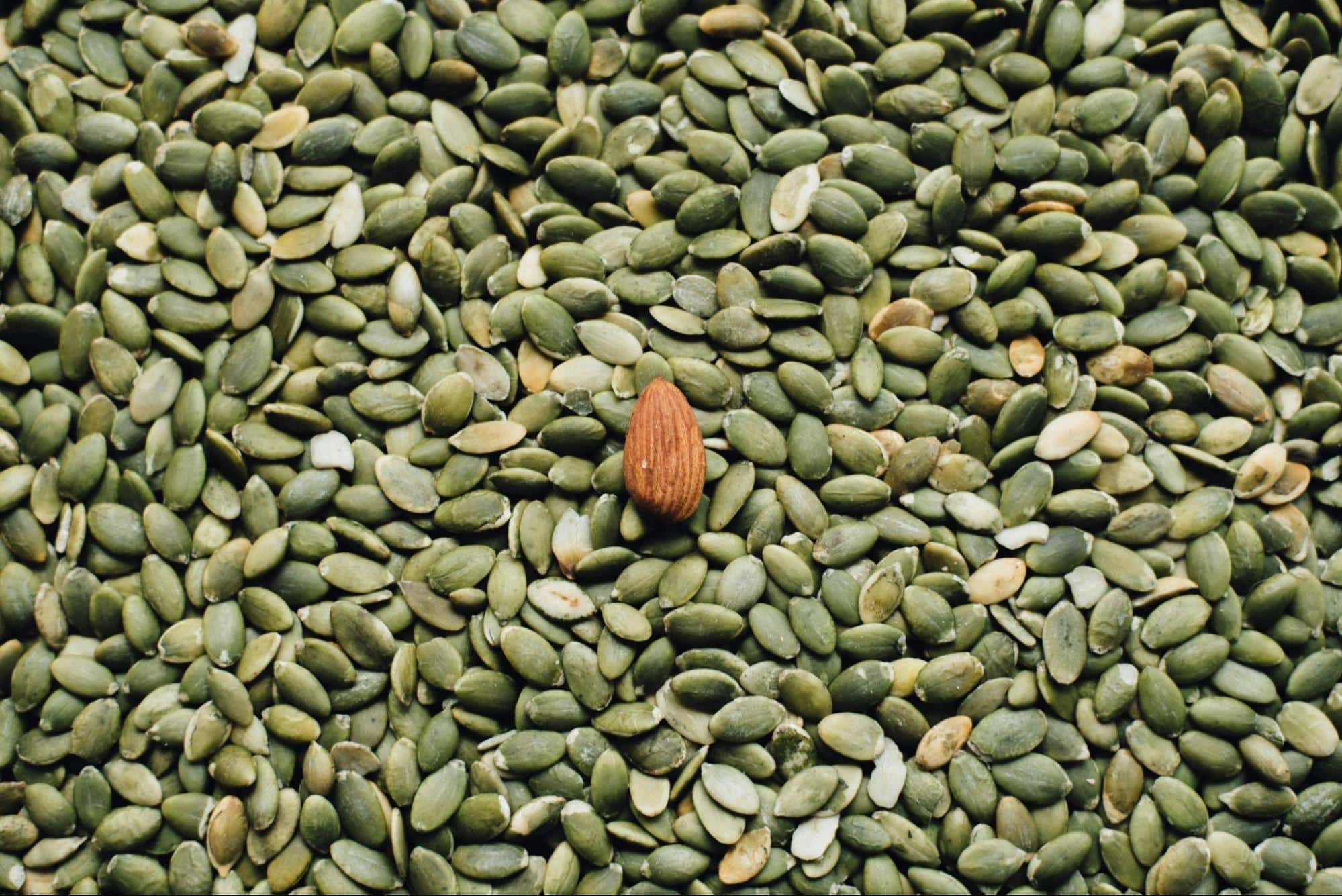 A picture of a pumpkin seed.