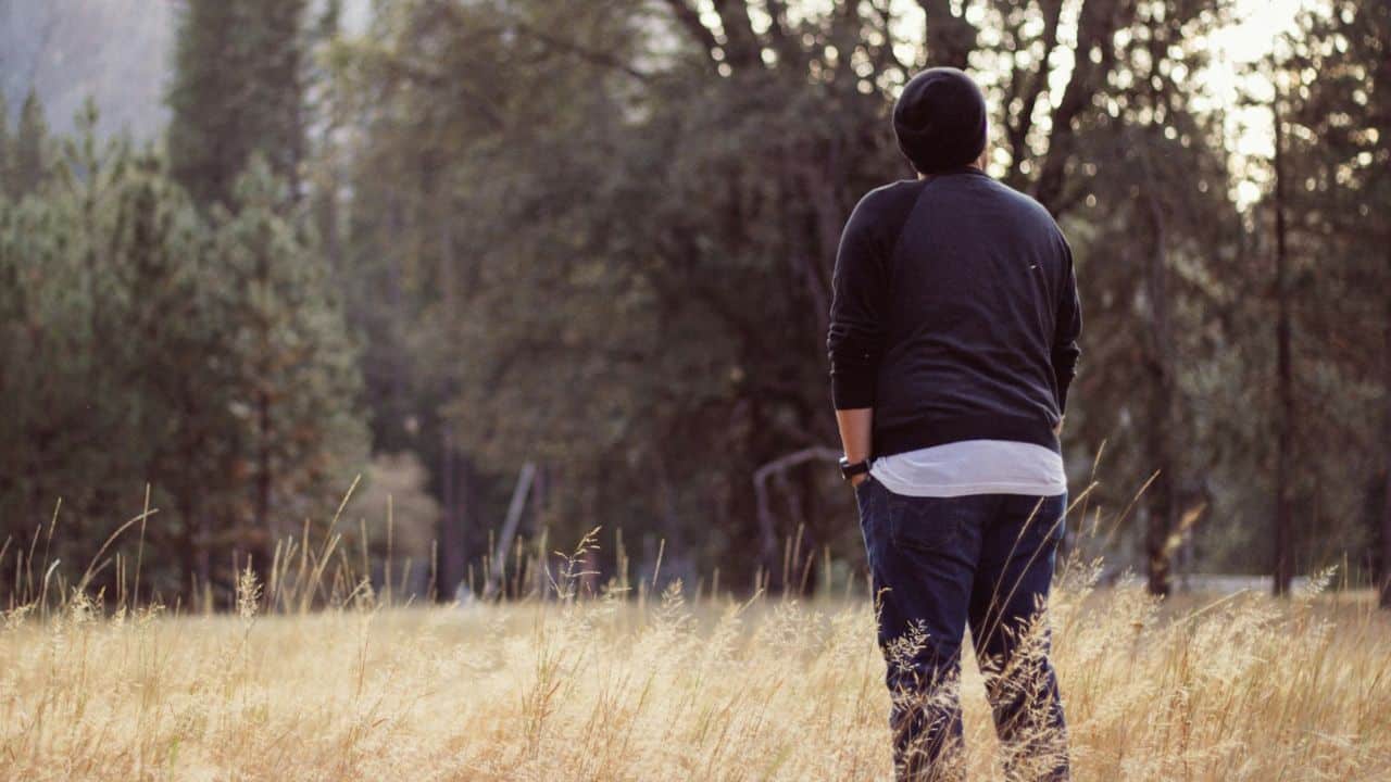 A person in a beanie and dark sweatshirt stands in a golden field, looking into trees.