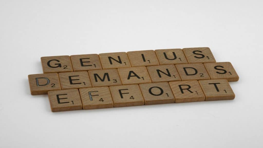 Wooden blocks spelling out "genius demands effort”