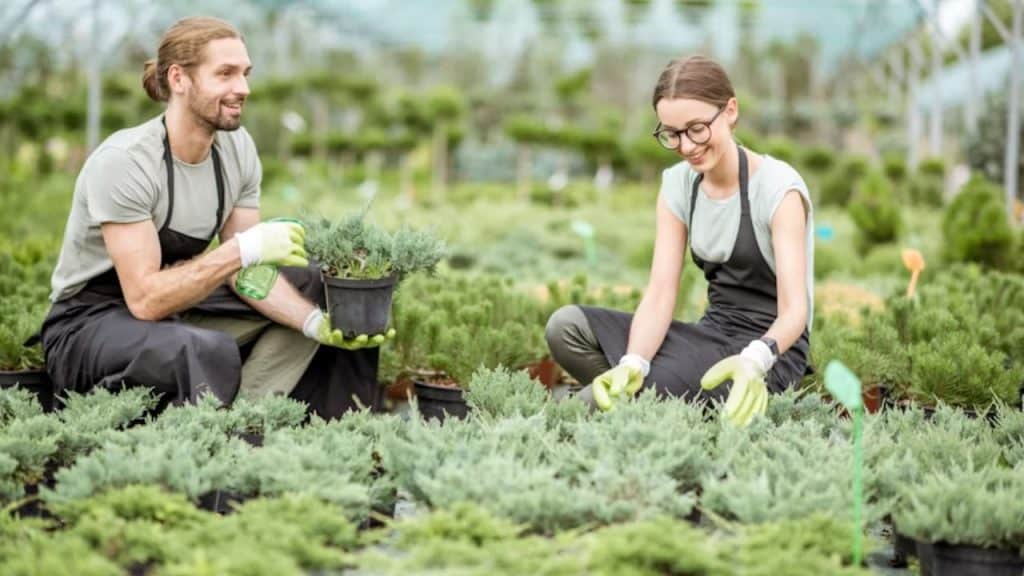Couple growing plants together, growing both literal and emotional way