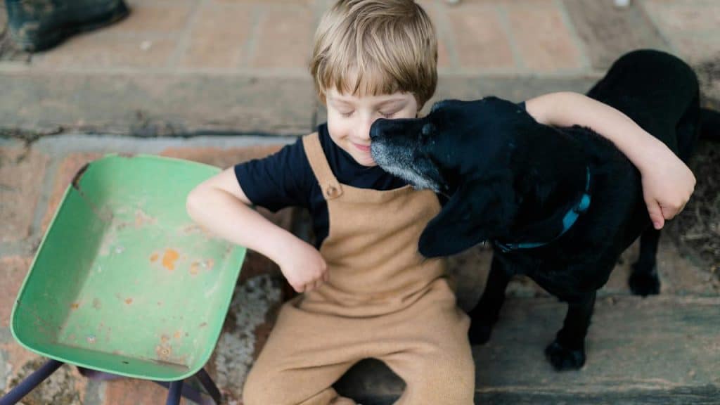 A boy hugging a black dog nuzzling his face.