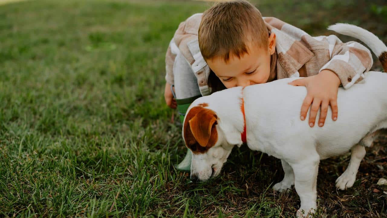 A boy hugging a dog sniffing the grass.