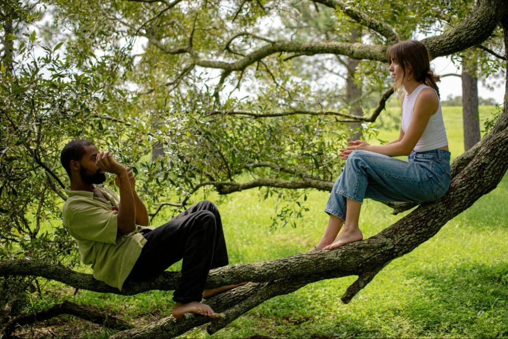 A man and woman sitting on the tree while having a conversation.