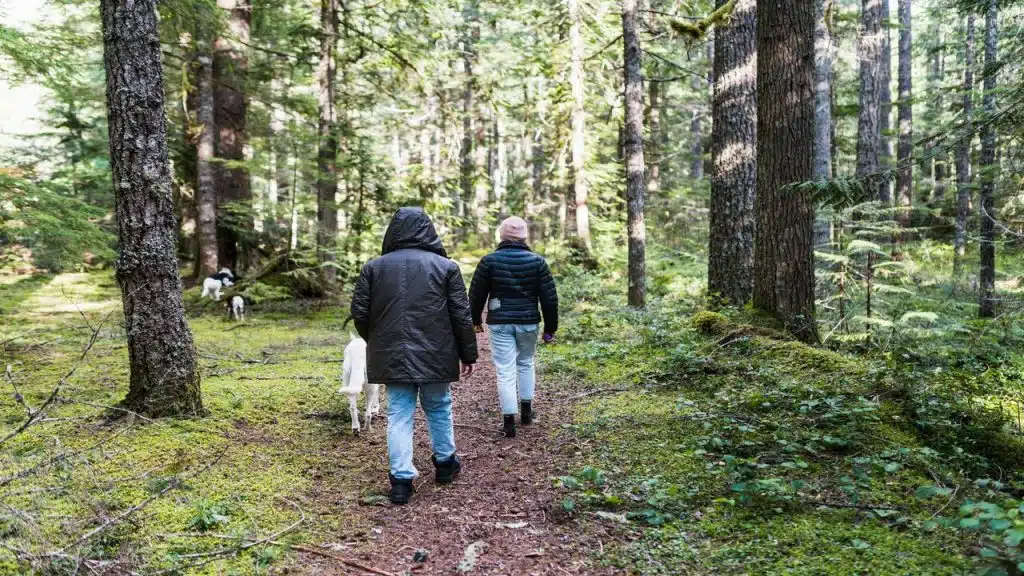 A couple hiking in the woods with their dogs