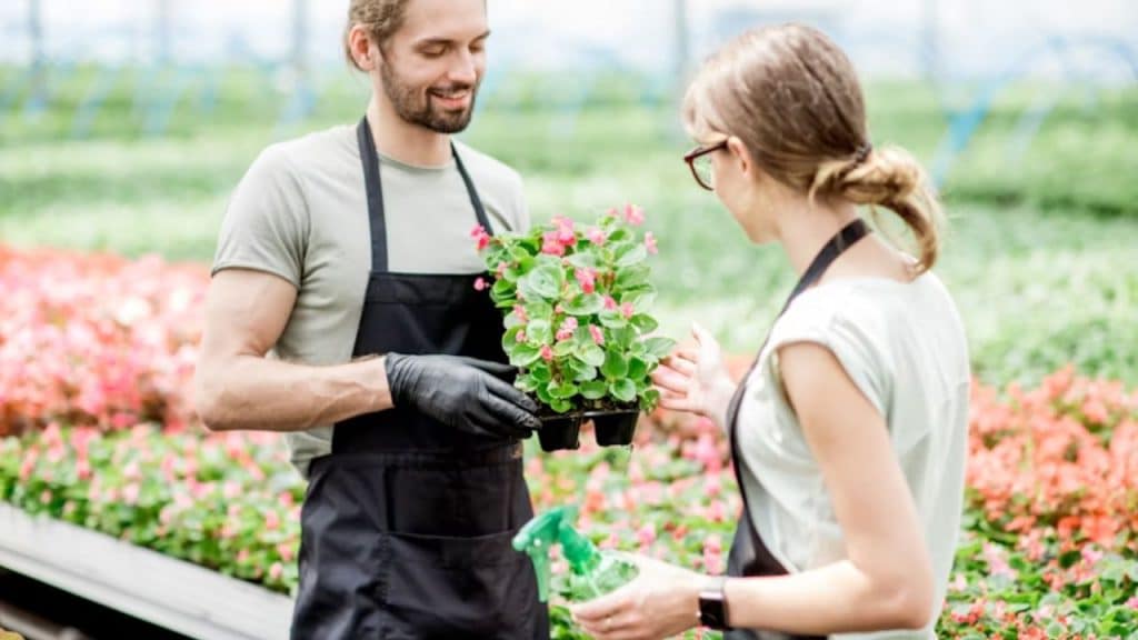Couple diffusing tension through gardening as a shared peaceful hobby.
