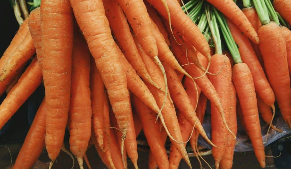 A picture of a bunch of carrots.
