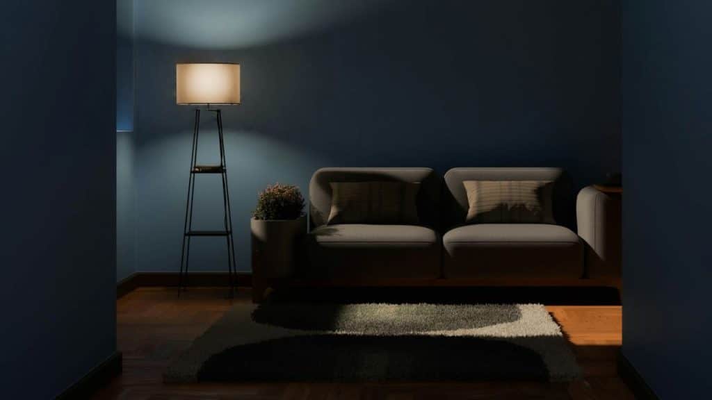 A dimly lit room with a floor lamp illuminating a gray sofa and a small plant.