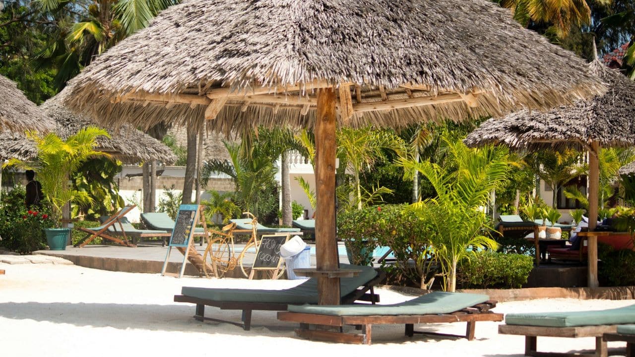 A large straw umbrella shades lounge chairs on a sunny beach, surrounded by palm trees.