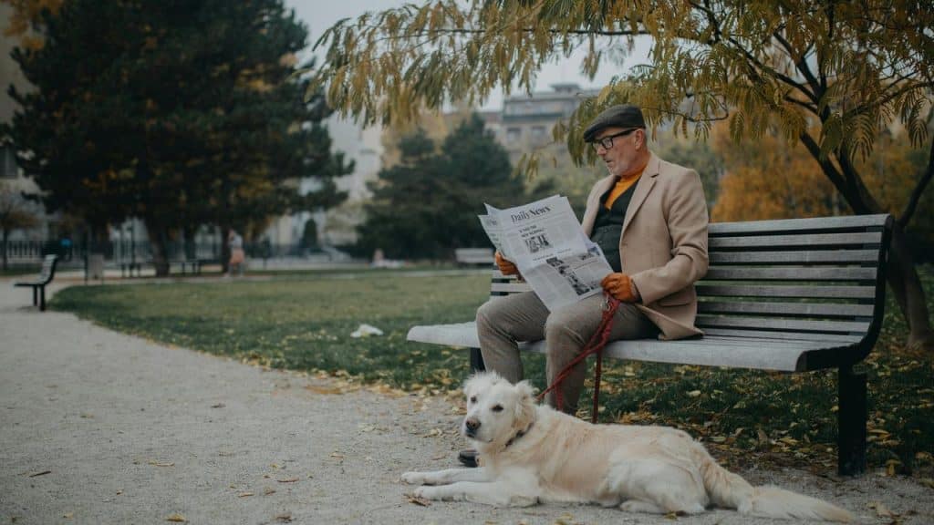 An elderly man reading a newspaper on a park bench with his dog lying in front.