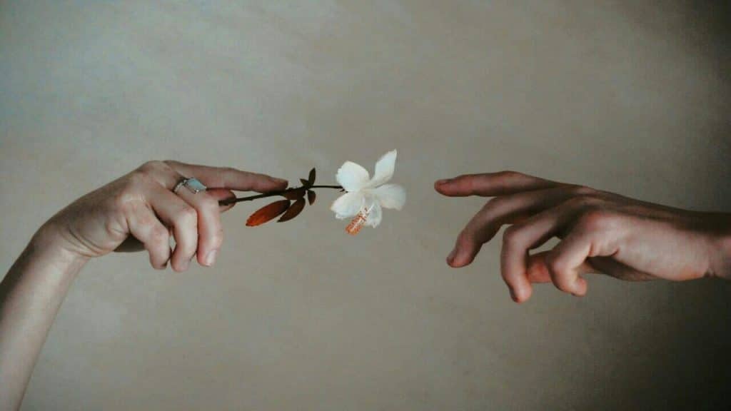 A person handing a white flower to another