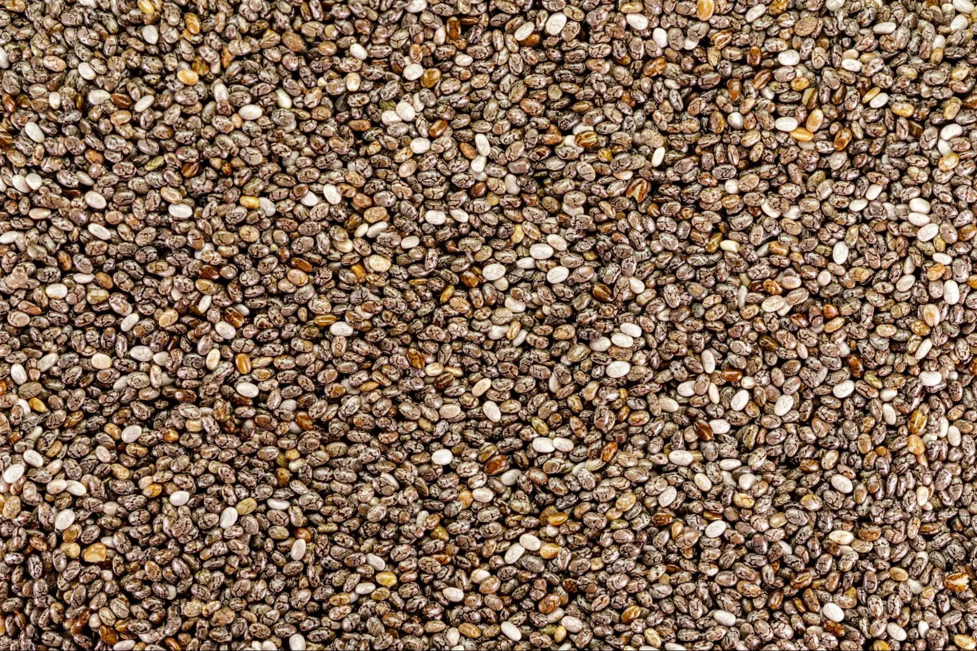 A picture of chia seeds.