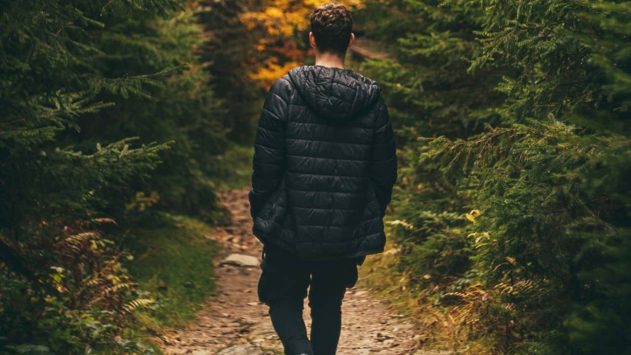 A person in a black puffer jacket walks away down a forest path.