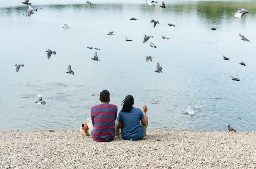 A man and woman surrounded with a flying dove.